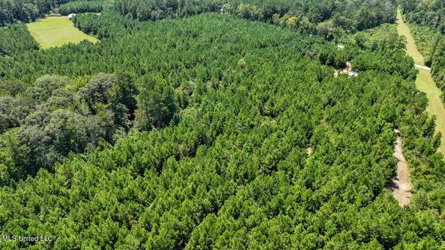 4106 Tanglewood Road, Magnolia, MS 39652