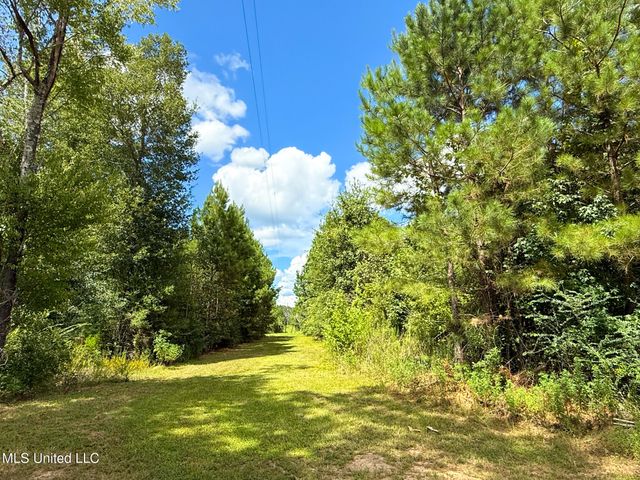4106 Tanglewood Road, Magnolia, MS 39652