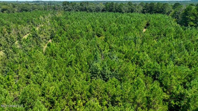 4106 Tanglewood Road, Magnolia, MS 39652