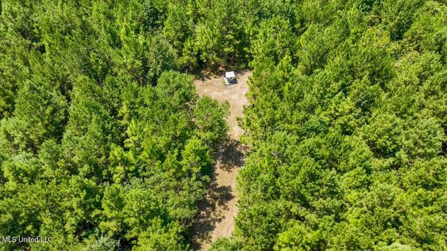 4106 Tanglewood Road, Magnolia, MS 39652