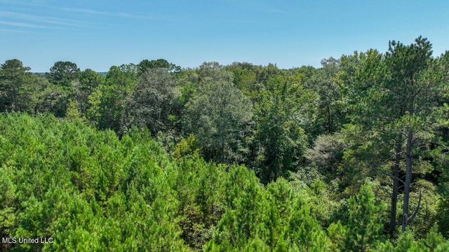 4106 Tanglewood Road, Magnolia, MS 39652