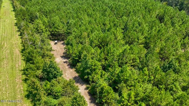 4106 Tanglewood Road, Magnolia, MS 39652