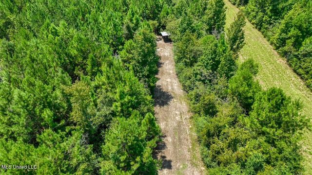 4106 Tanglewood Road, Magnolia, MS 39652