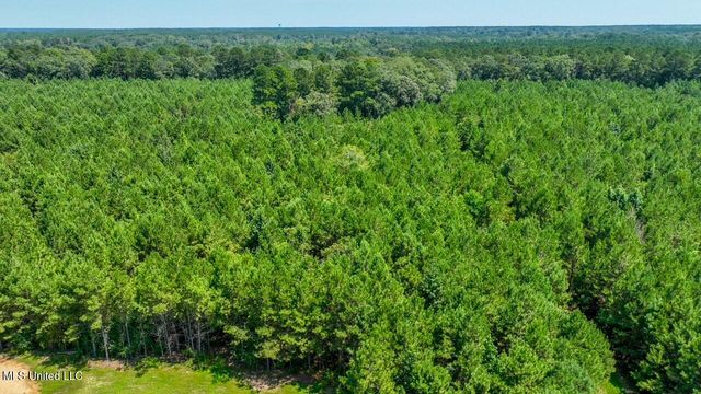 4106 Tanglewood Road, Magnolia, MS 39652