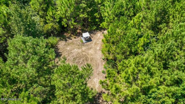 4106 Tanglewood Road, Magnolia, MS 39652