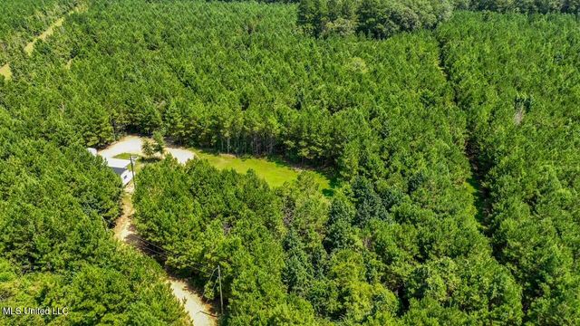 4106 Tanglewood Road, Magnolia, MS 39652