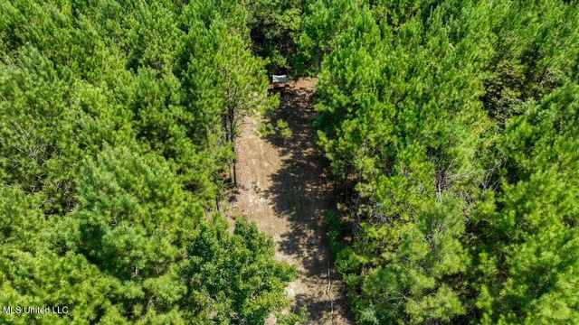 4106 Tanglewood Road, Magnolia, MS 39652