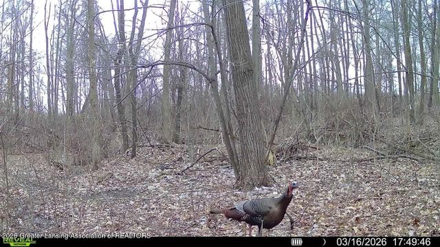 2609 Battle Creek Road, Charlotte, MI 48813