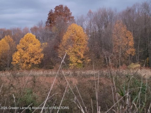 2609 Battle Creek Road, Charlotte, MI 48813
