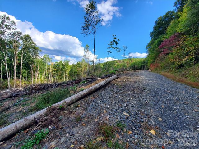 Lot 28 Parkwood Hill Road, Spruce Pine, NC 28777