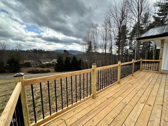 256 William Hawkins Lane, Mountain City, TN 37683