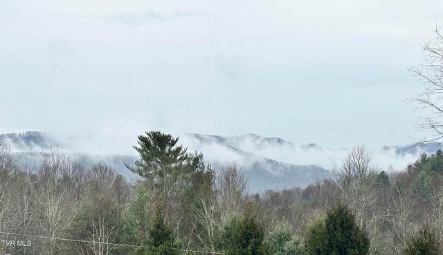 256 William Hawkins Lane, Mountain City, TN 37683