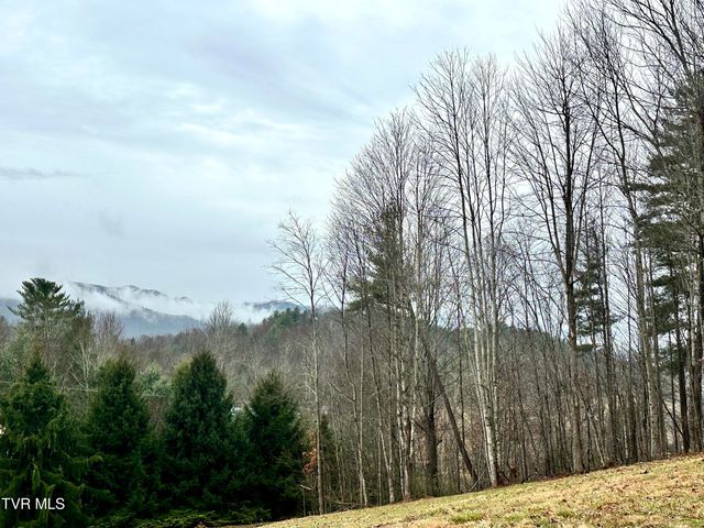 256 William Hawkins Lane, Mountain City, TN 37683