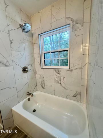 256 William Hawkins Lane, Mountain City, TN 37683