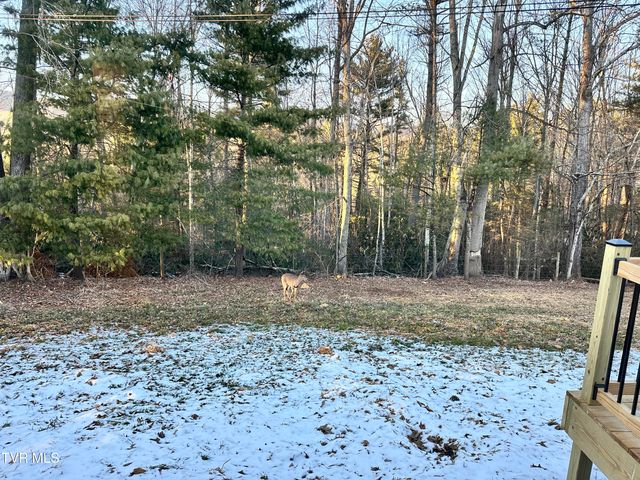 256 William Hawkins Lane, Mountain City, TN 37683