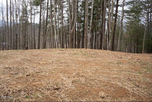 256 William Hawkins Lane, Mountain City, TN 37683