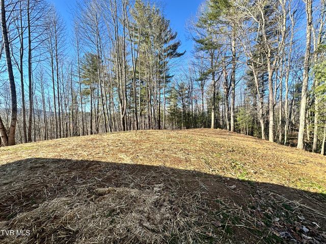 256 William Hawkins Lane, Mountain City, TN 37683