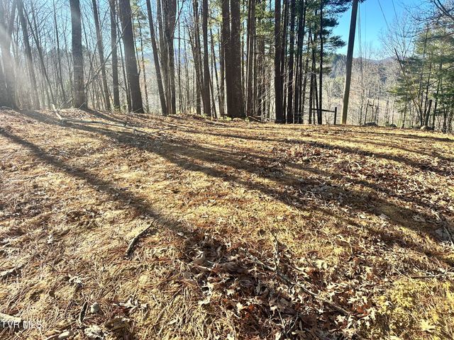 256 William Hawkins Lane, Mountain City, TN 37683