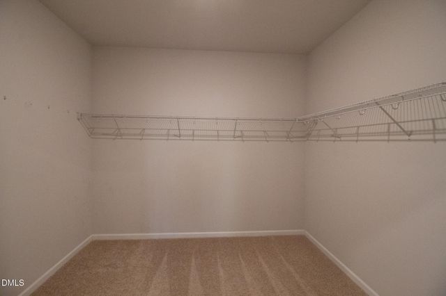 441 Rosemount, Rocky Mount, NC 27804