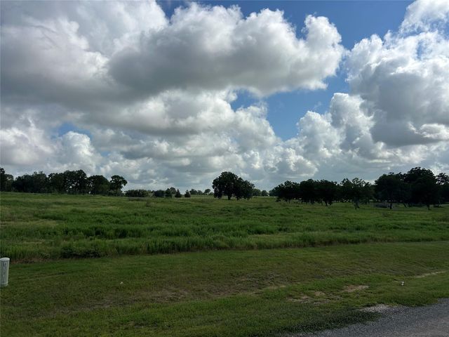 10549 Sunny Meadow Drive, Chappell Hill, TX 77426