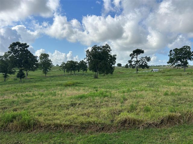 10549 Sunny Meadow Drive, Chappell Hill, TX 77426