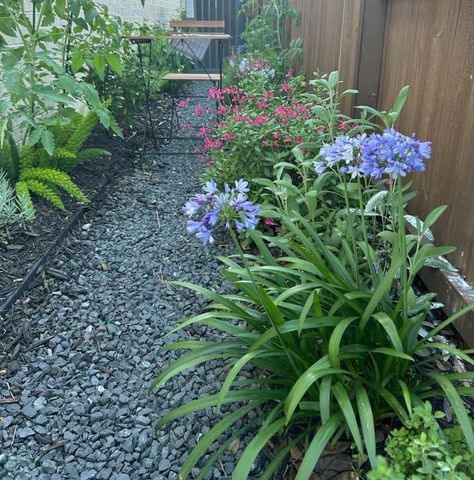 4035 Shackleton Court, Iowa Colony, TX 77583