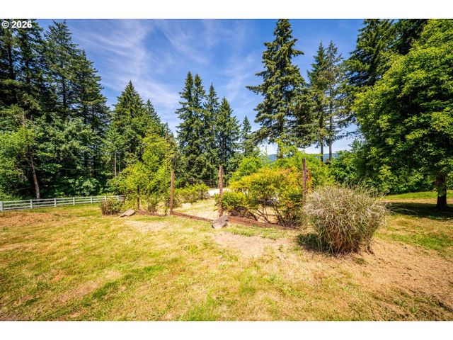 40217 Nw CARDAI HILL Rd, Woodland, WA 98674