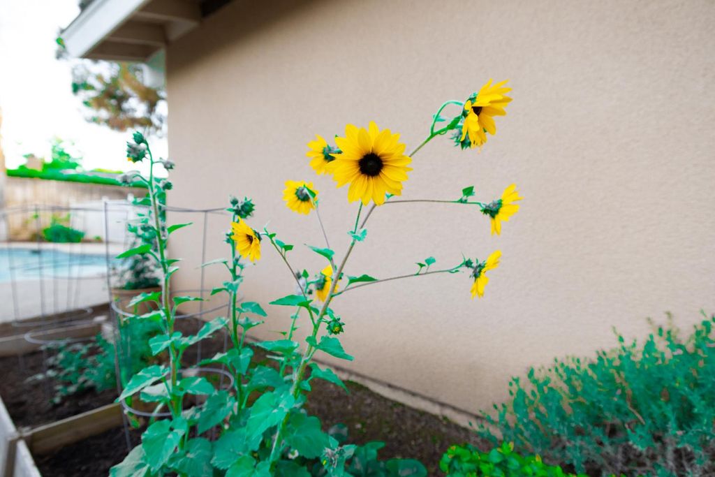 Image 37 of property listing at 8296 N Del Mar Avenue, Fresno, CA 93711