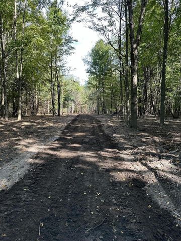 Lot 2 Christopher Lane, South Haven, MI 49090