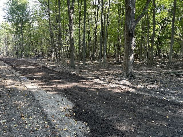 Lot 2 Christopher Lane, South Haven, MI 49090
