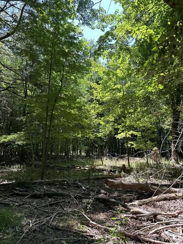 Lot 2 Christopher Lane, South Haven, MI 49090