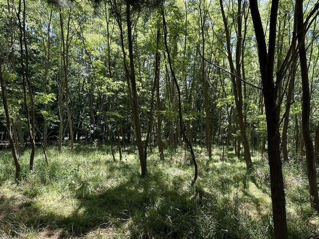 Lot 2 Christopher Lane, South Haven, MI 49090