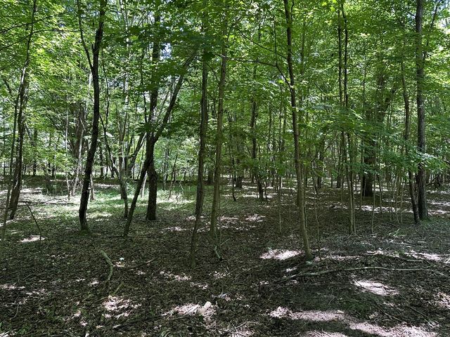 Lot 2 Christopher Lane, South Haven, MI 49090
