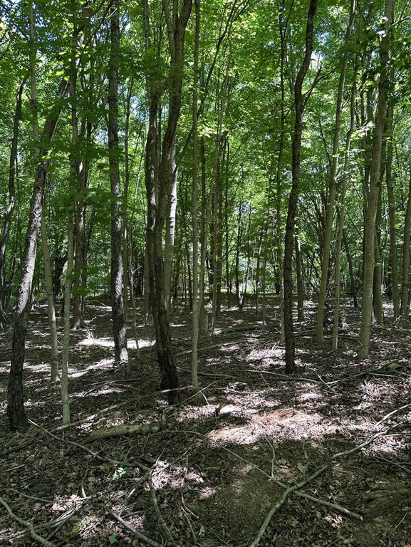 Lot 2 Christopher Lane, South Haven, MI 49090