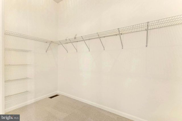 9443 STRUTHERS GLEN CT, Bristow, VA 20136