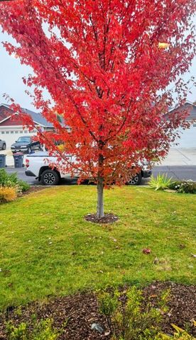 3229 Pecan Court, Medford, OR 97504