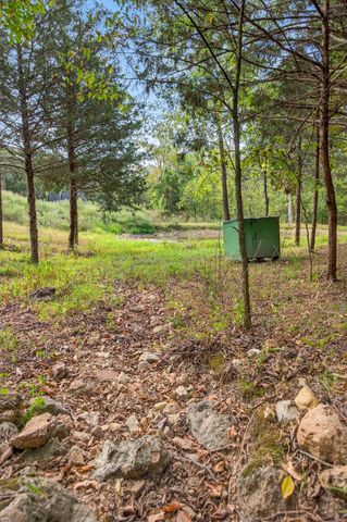 48 Flint Ridge Road, Elkland, MO 65644