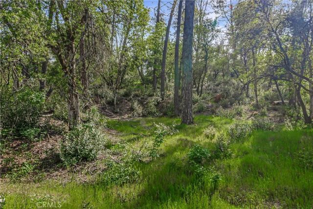 9200 Silver King, Redding, CA 96001