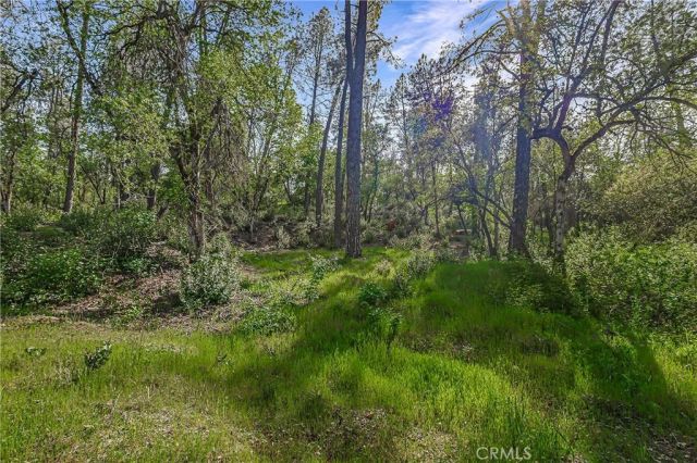 9200 Silver King, Redding, CA 96001