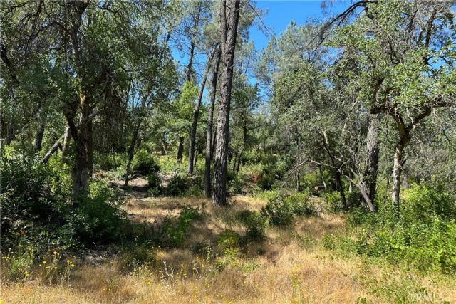 9200 Silver King, Redding, CA 96001