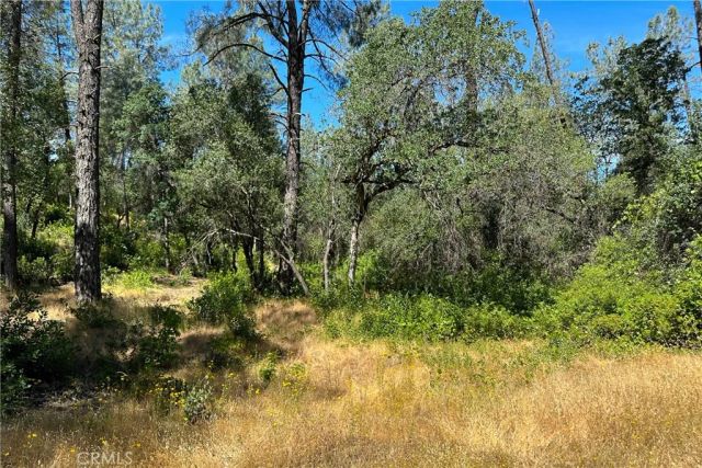 9200 Silver King, Redding, CA 96001