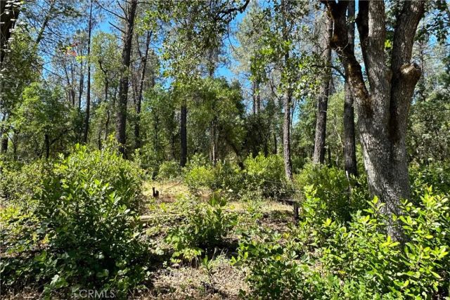 9200 Silver King, Redding, CA 96001