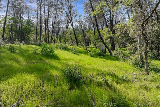 9200 Silver King, Redding, CA 96001