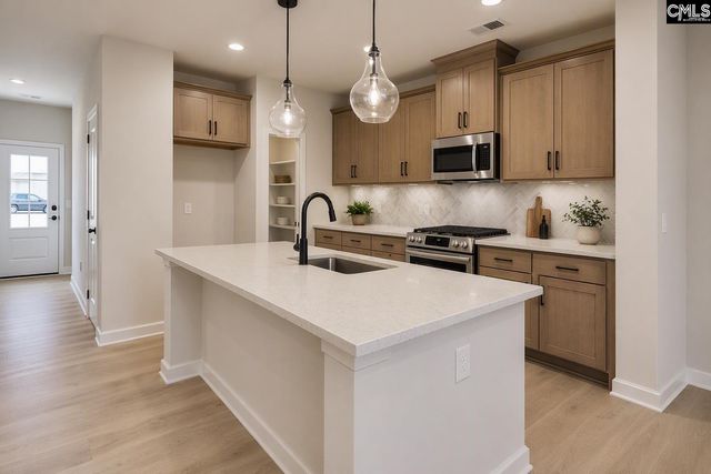 662 Griffon Drive, Chapin, SC 29036
