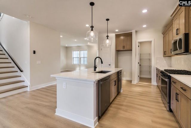 662 Griffon Drive, Chapin, SC 29036