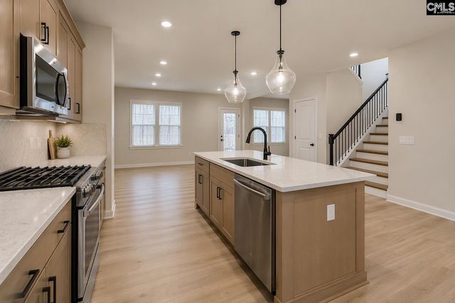 662 Griffon Drive, Chapin, SC 29036