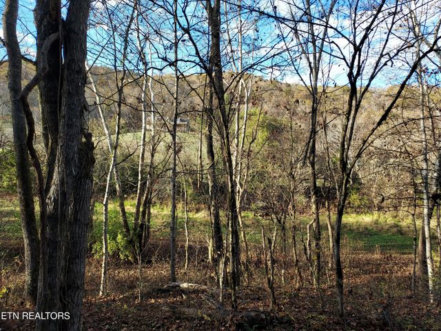 7.25acTBD BULLEN VALLEY, Thorn Hill, TN 37881