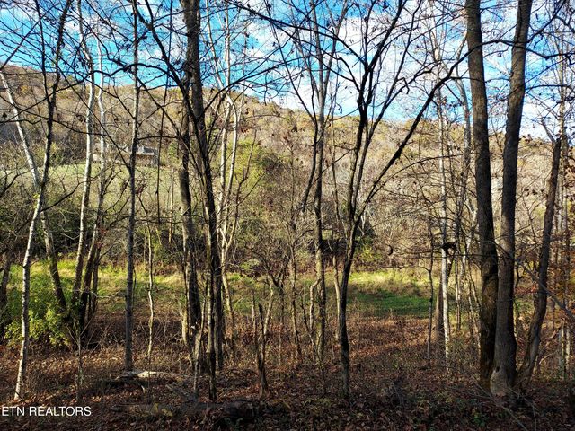 7.25acTBD BULLEN VALLEY, Thorn Hill, TN 37881