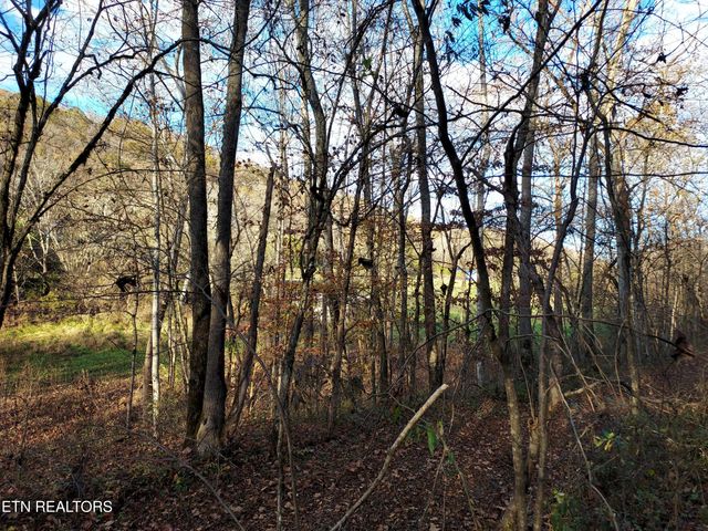 7.25acTBD BULLEN VALLEY, Thorn Hill, TN 37881
