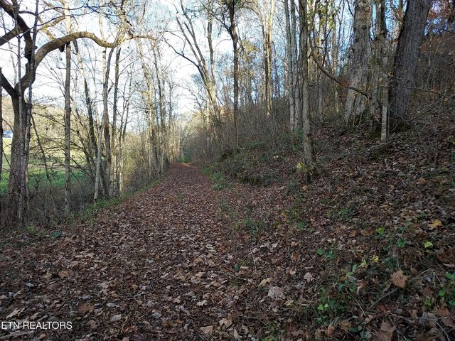 7.25acTBD BULLEN VALLEY, Thorn Hill, TN 37881